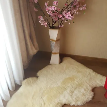 Airport Apartment